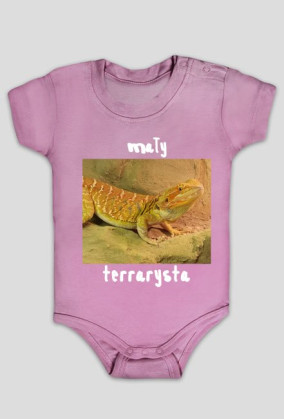 Mały terrarysta