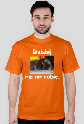 dzisiaj nic nie robię