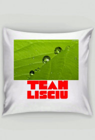 Poduszka Team Lisciu