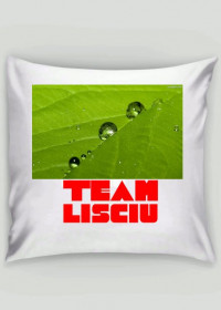 Poduszka Team Lisciu