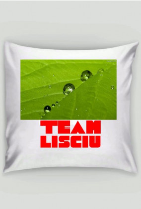 Poduszka Team Lisciu