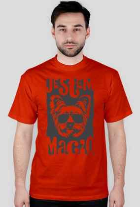 york maczo