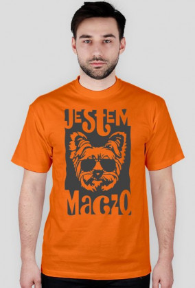 york maczo