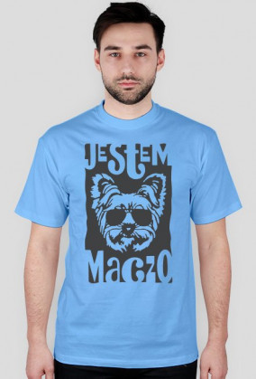 york maczo
