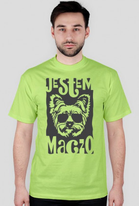 york maczo