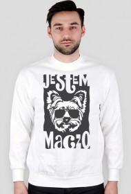 york maczo