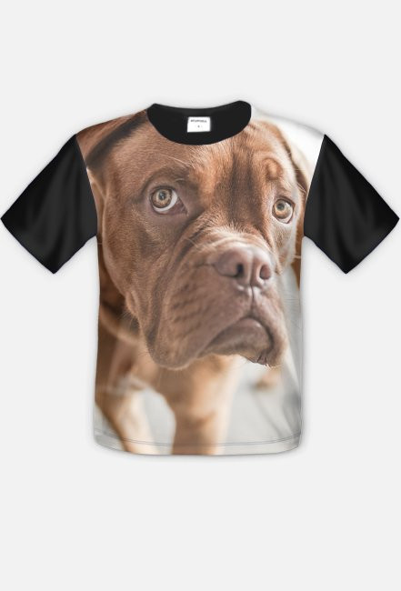 DOG - koszulka FullPrint