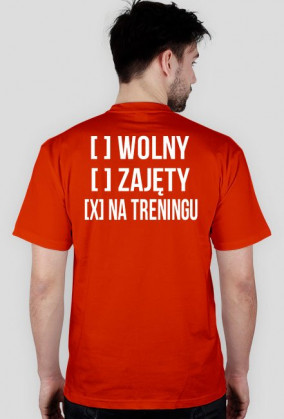 Koszulka []Wolny []zajęty [x]na treningu