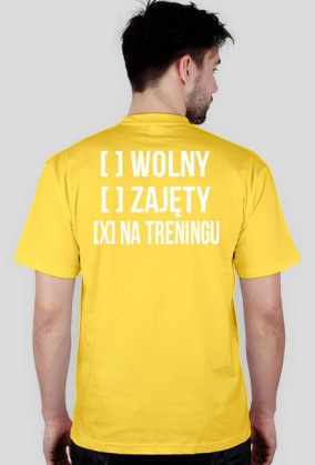 Koszulka []Wolny []zajęty [x]na treningu