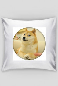 PODUSZKA PIESEŁEK XD :D