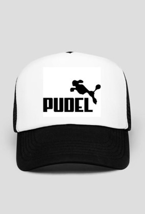 Pudel