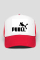 Pudel