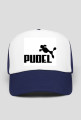 Pudel