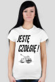 Jestes czolgie