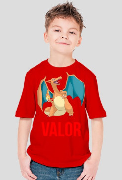 T-SHIRT VALORÓW