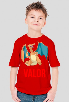 T-SHIRT VALORÓW
