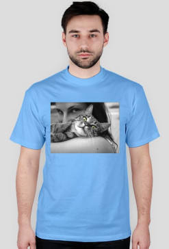 cat 3