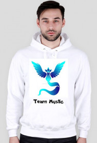 Bluza Team Mystic