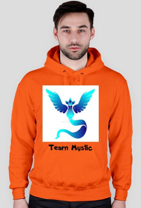 Bluza Team Mystic