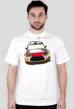 DS3