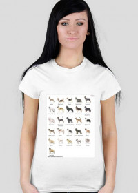 koszulka z psami