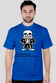 undertale wear: sans
