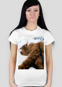 koszulka kot (damska)