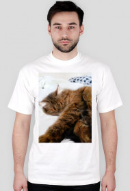 koszulka kot (męska)