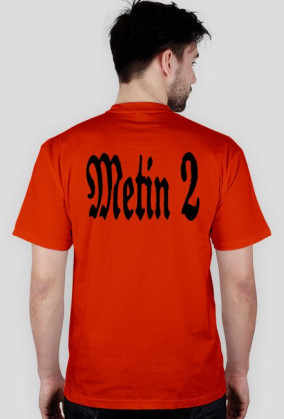 metin2