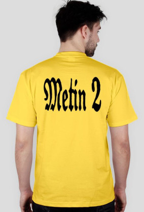 metin2