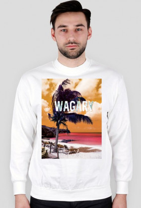 Bluza męska bez kaptura WAGARY