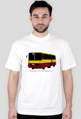 Koszulka Ikarus męska (różne kolory)