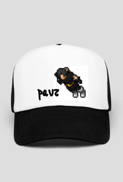 PaVz #4