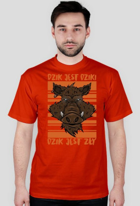 DZIK