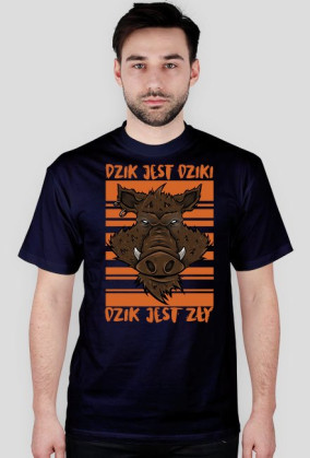 DZIK