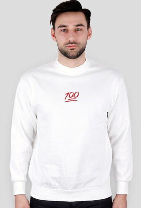100 sweatshirt