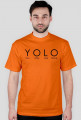 YOLO #1