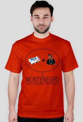 MONTENEGRO 2017 v2