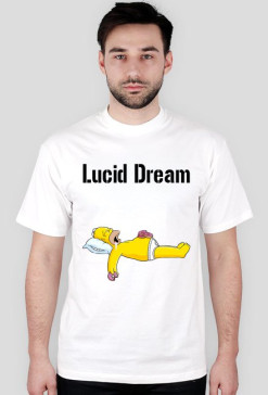 Homer Lucid Dream