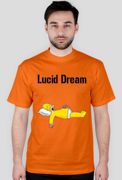 Homer Lucid Dream