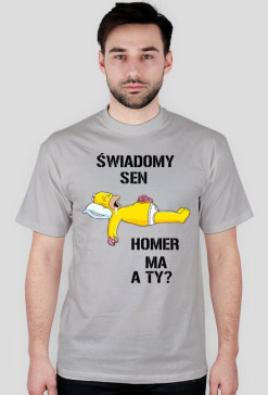 Homer Lucid Dream 2
