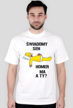 Homer Lucid Dream 2