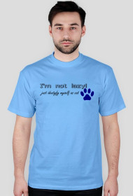 i identyfy myself as cat