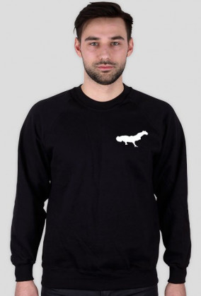 DW bluza czarna (logo)