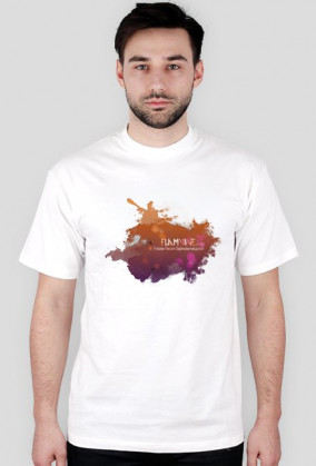 Koszulka męska (różne kolory) | Flamvine