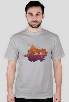 Koszulka męska (różne kolory) | Flamvine