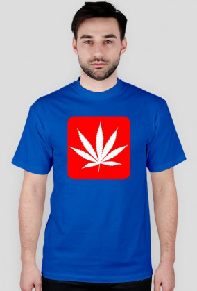 Koszulka Marihuana