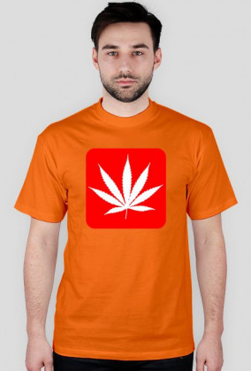 Koszulka Marihuana