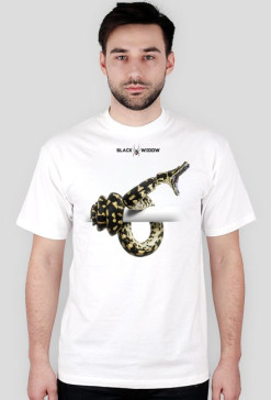 Snake 01 M 01
