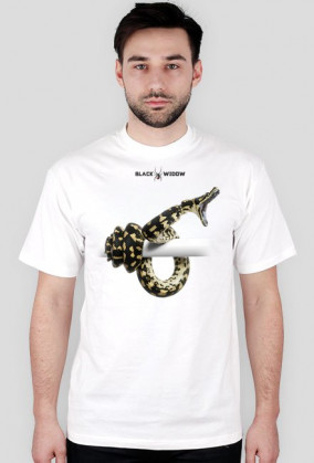 Snake 01 M 01